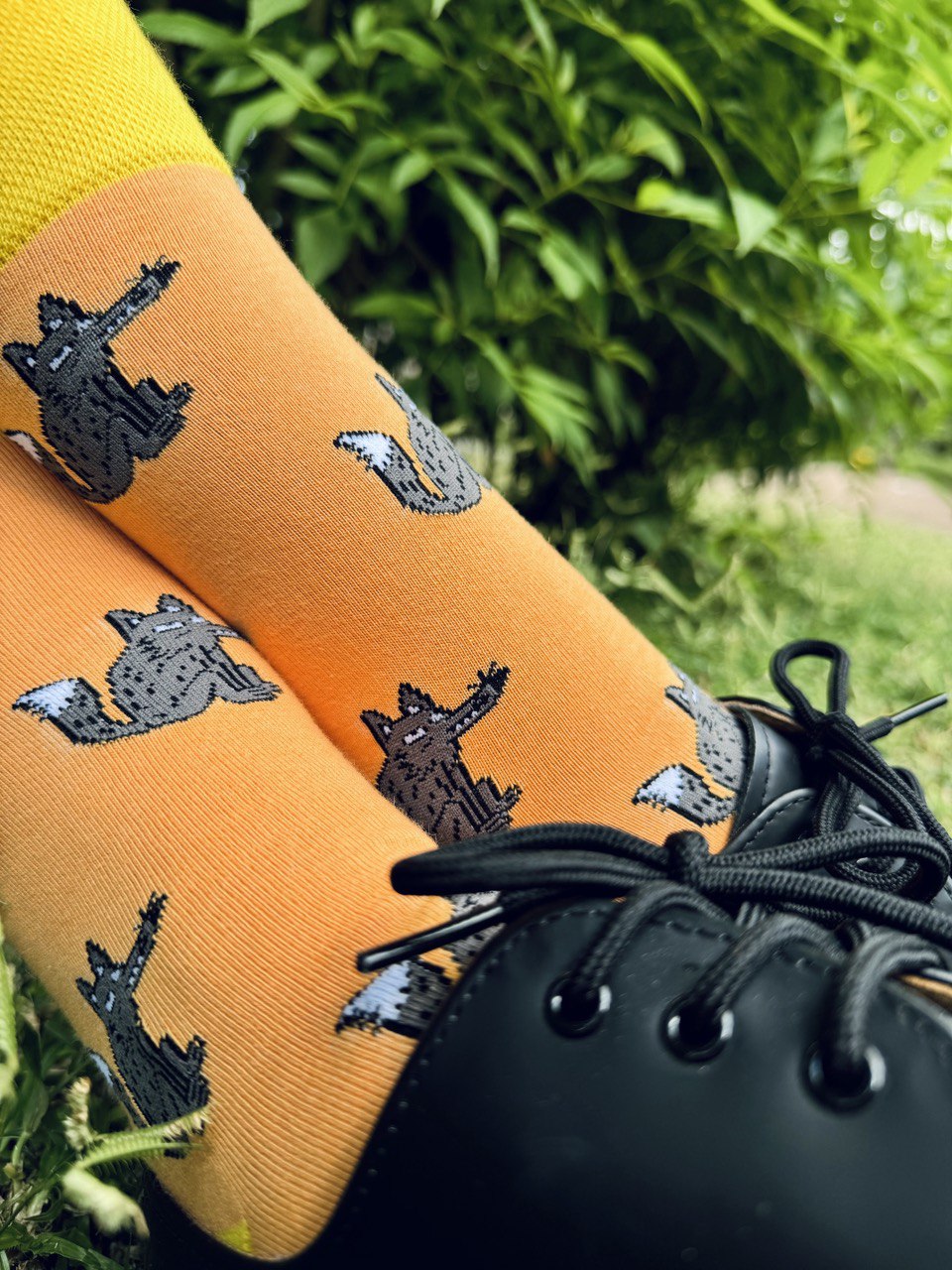 Wolf Socks