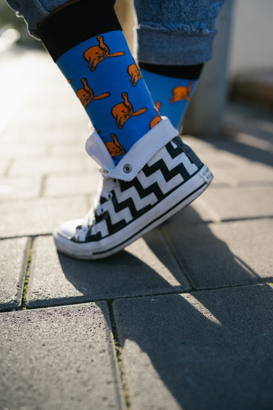 Cat socks