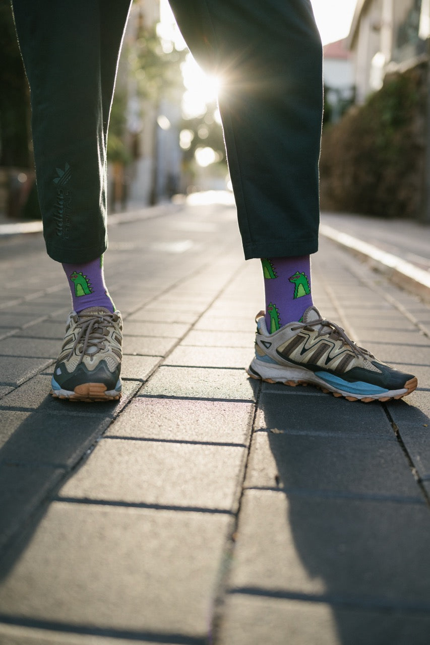 Dino socks