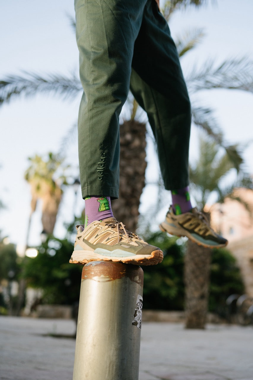 Dino socks