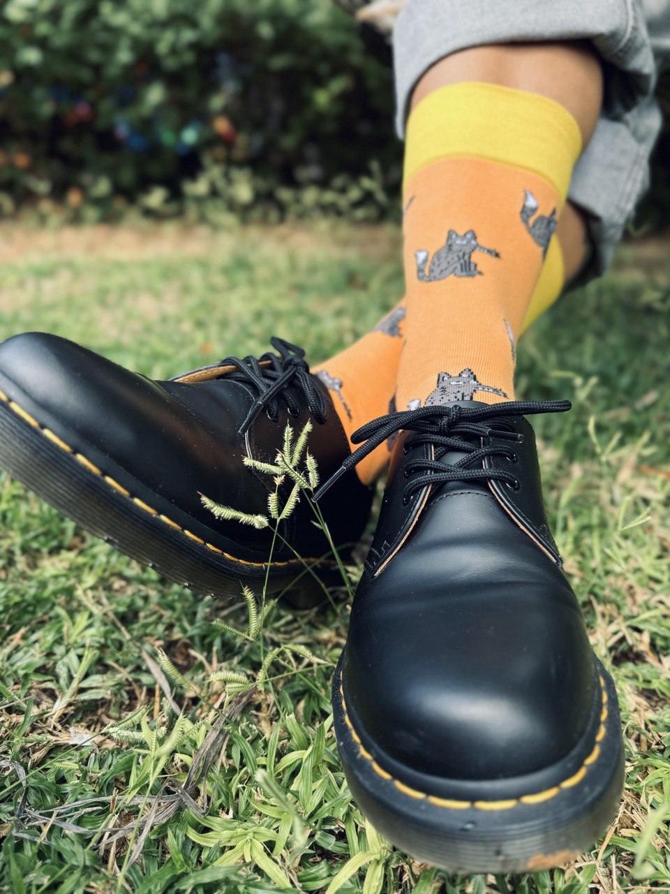 Wolf Socks