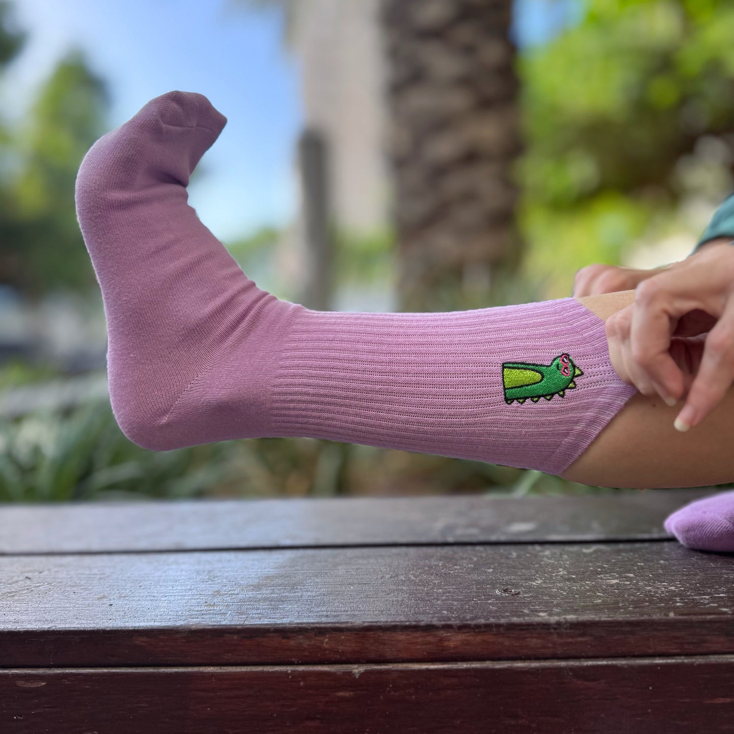 Dino socks
