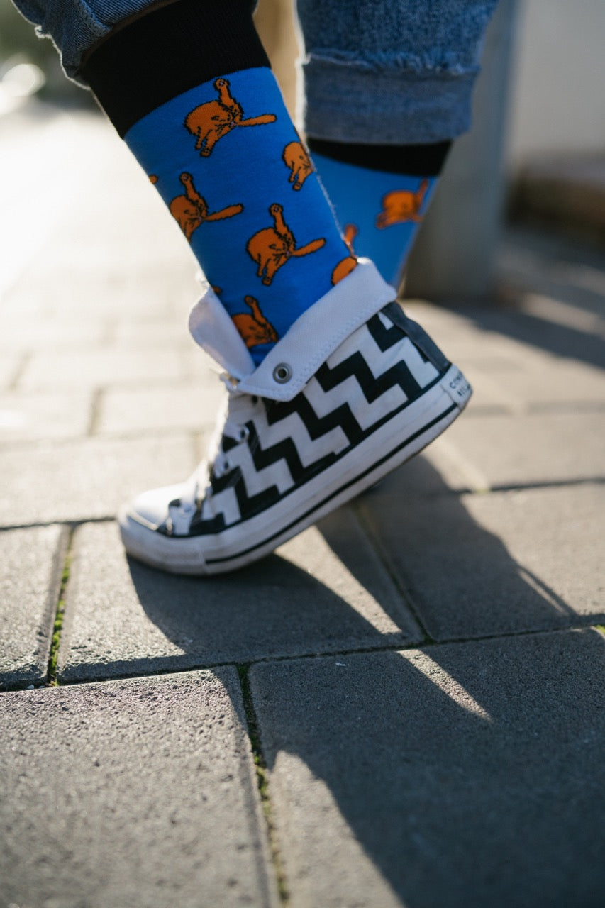 Cat socks