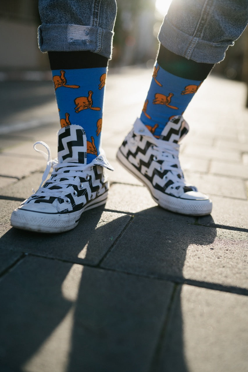 Cat socks