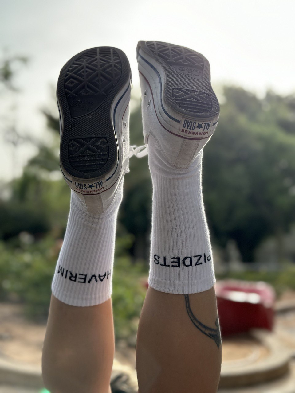 Limited socks